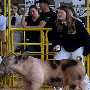 Meet your Posher, Marie